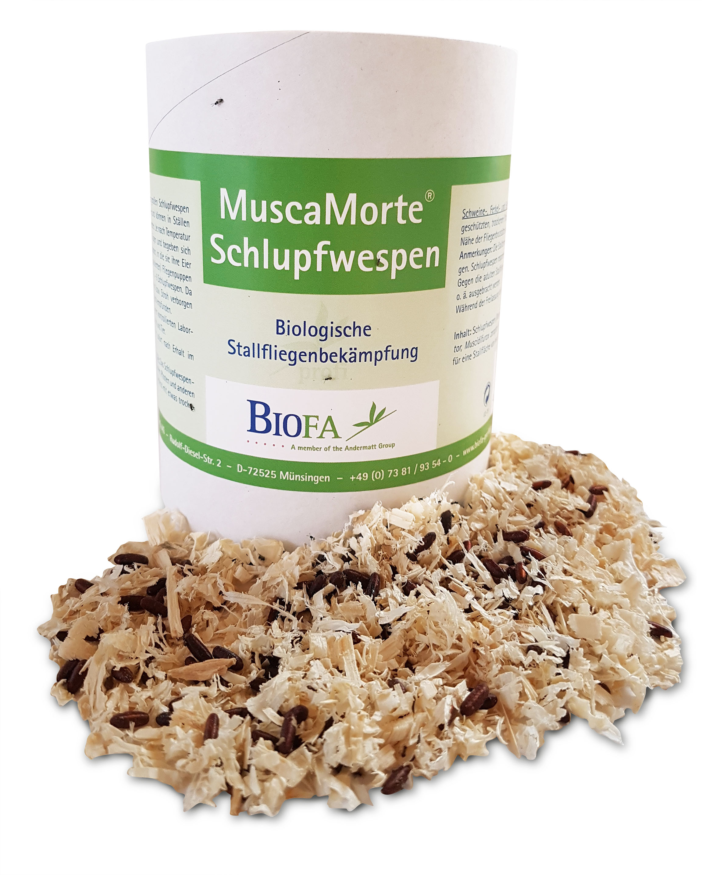 MuscaMorte® Schlupfwespen (Muscidifurax spp.)